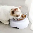 Миска для кошек и собак миска для еды домашних животных, поднятая, с наклоном на 15 градусов