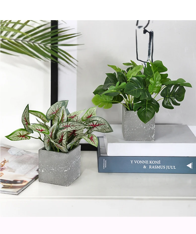 Ins Скандинавская креативная в виде черепахи лист зеленый укроп растение