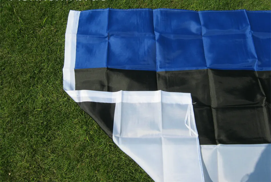 Бесплатная доставка флаг Эстонии 90x150 см подвесной высококачественный