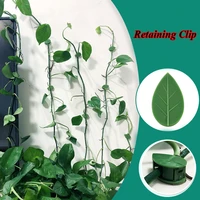 green plant climbing wall buckle self adhesive hot green dill fixator plant fixture clip 10pcs home garden decoration