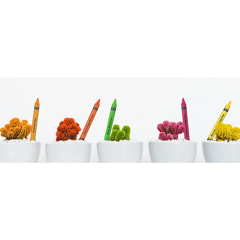 Мелки нетоксичные 24 шт легко держать в руке безопасные для детей мальчиков и