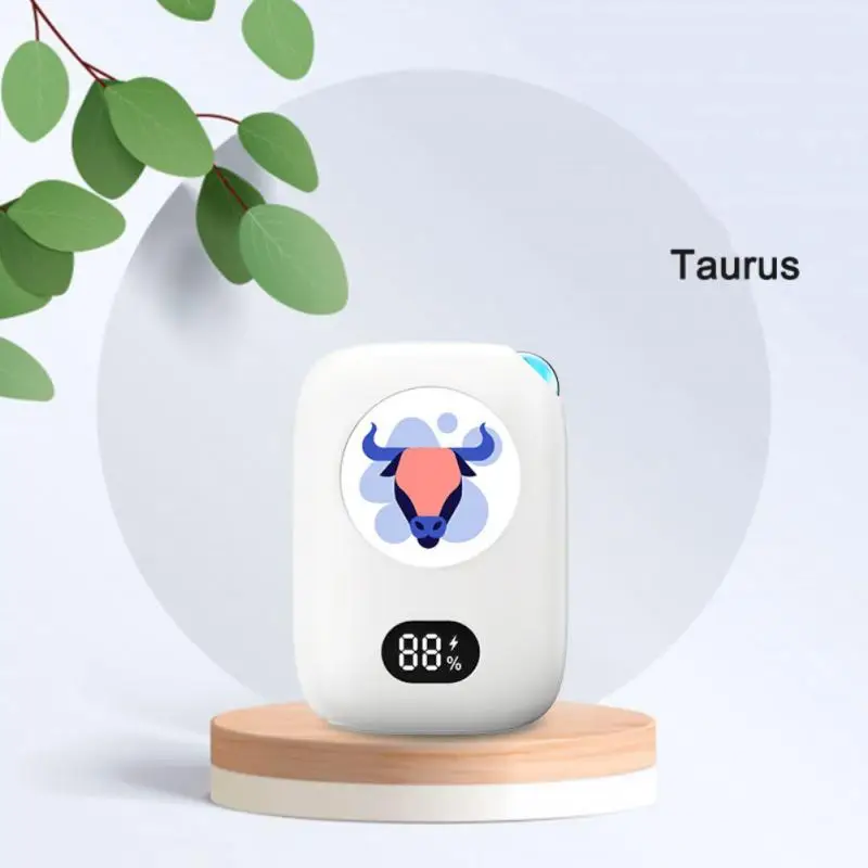 

2 в 1, грелка для рук