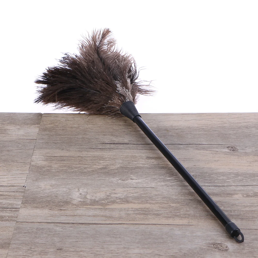 

Duster Feather Dusters with Long Handle Cleaning Brush Tool