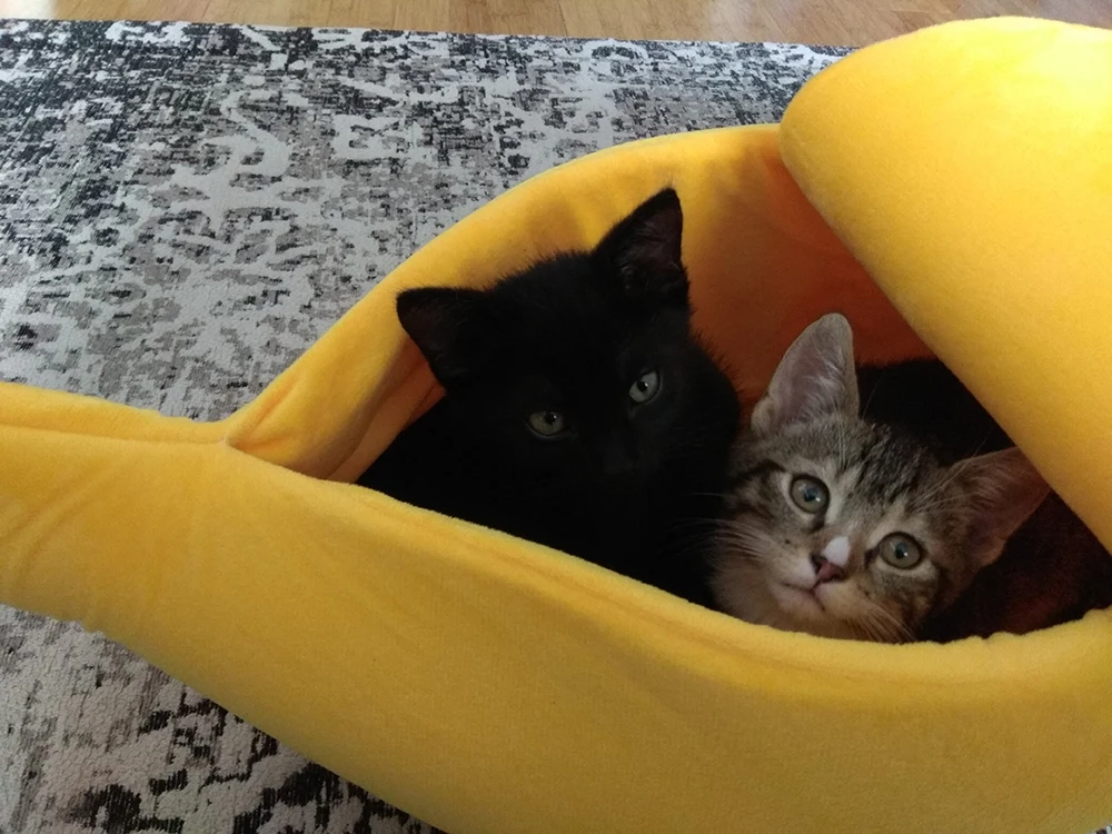 Кровать-домик для кошек и бананов удобная переносная теплая корзина домашних