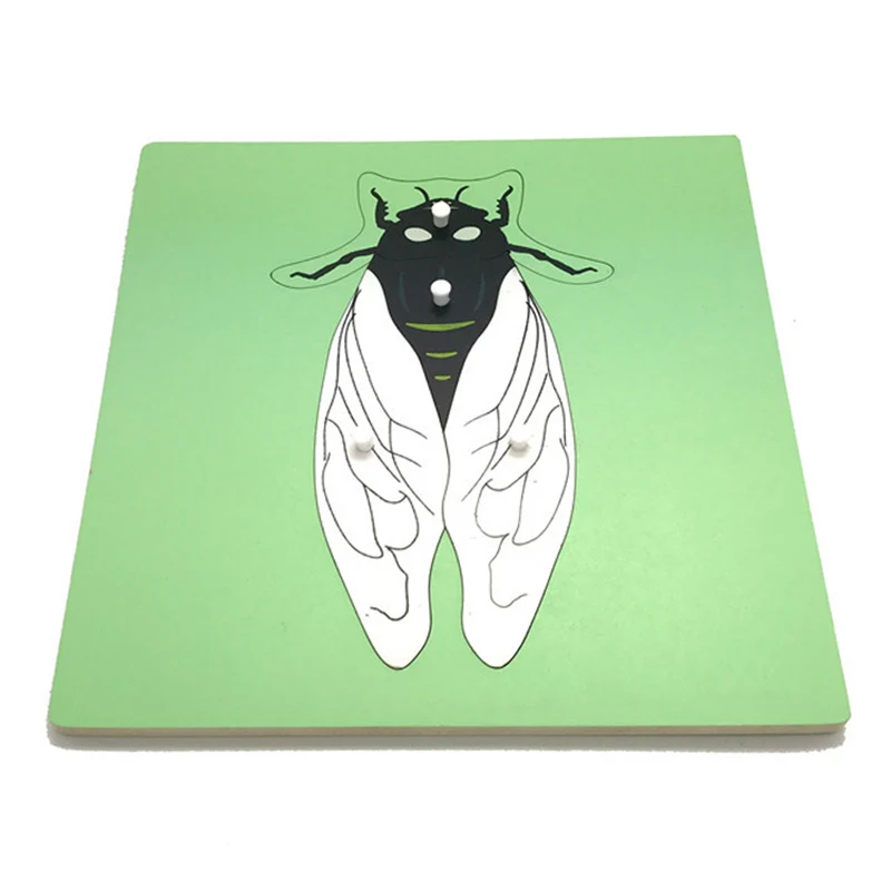 

Baby Toys Flower/Plant/Animal Puzzle Wooden Early Childhood Education Preschool Training Learning for Kids 3 years old