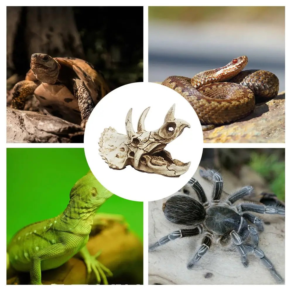 Аквариум для рептилий домик уклонения череп динозавра имитация украшения