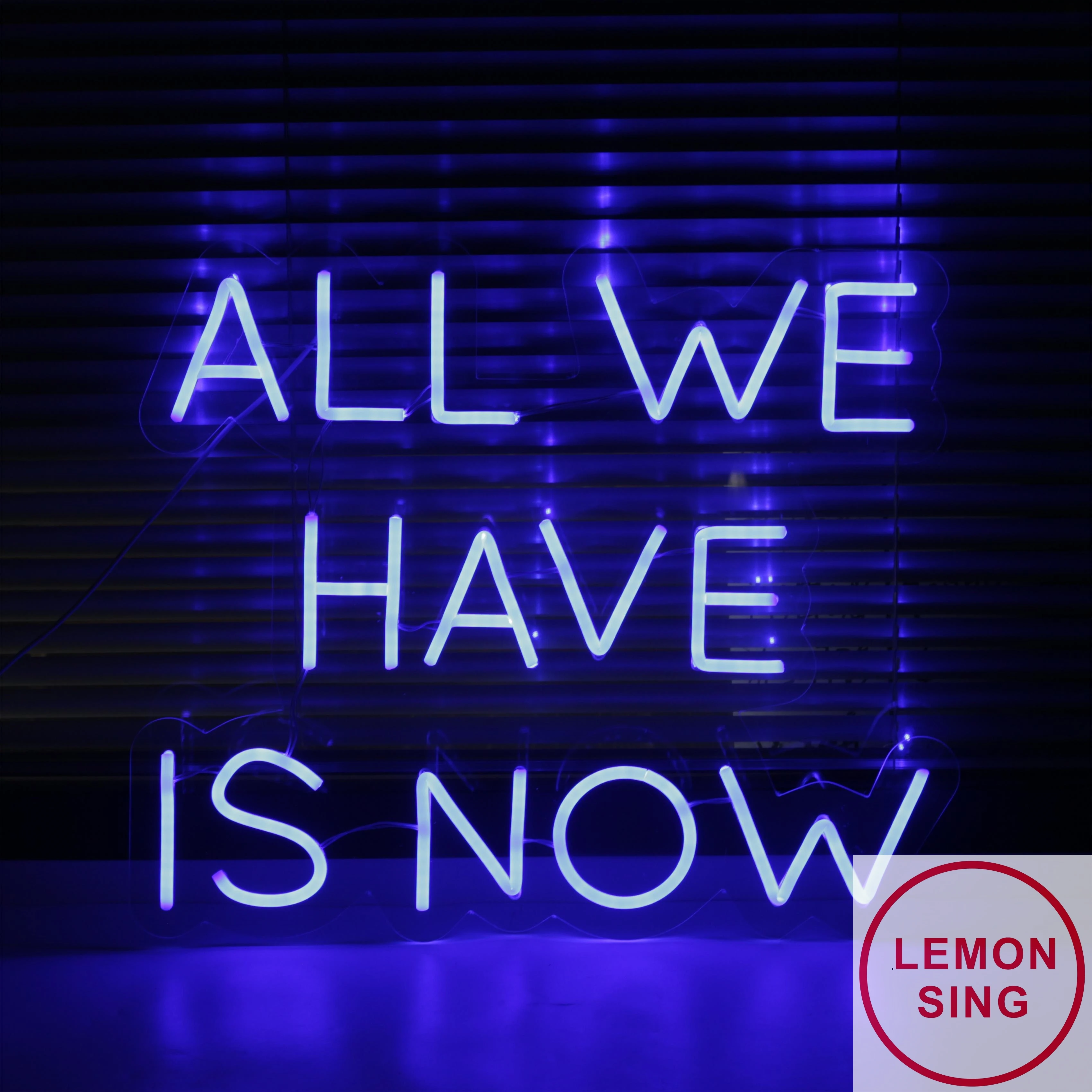 

All We Have Is Now Neon Signs For Bedroom Bar Decoration Holiday Party Light Led Custom Wall Decor