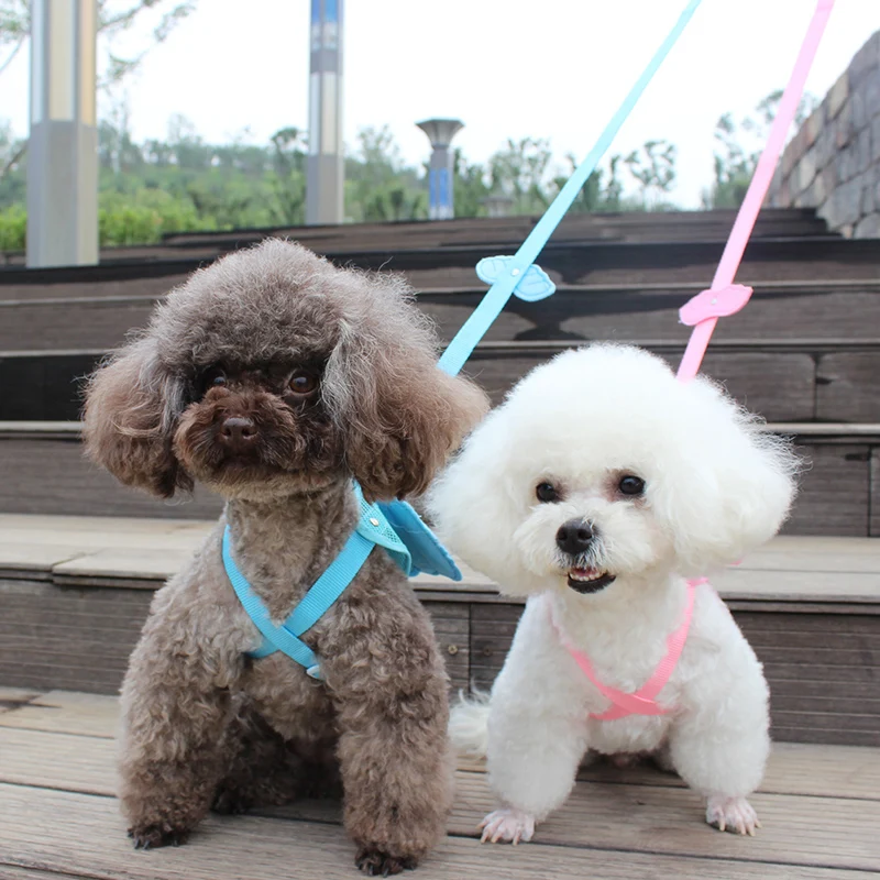 Сетчатый ошейник для домашних питомцев с крыльями маленьких собак распродажа