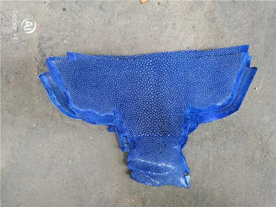 Красочные подлинные ската натуральный manmanta Ray рыбьей кожи штук для DIY кожа ремесленные часы ремень нож ручка материал 1,5 мм - Color: Blue