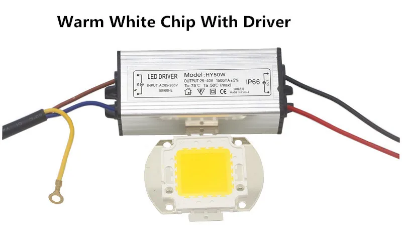 WarmWhiteChip Driver Высокомощный COB светодиодный светильник с бусинами лампа-чип с драйвером 10 Вт 20 Вт 30 Вт 50 Вт 100 Вт для DIY прожекторный светильник свет белый/теплый белый RGB - Цвет: WarmWhiteChip Driver