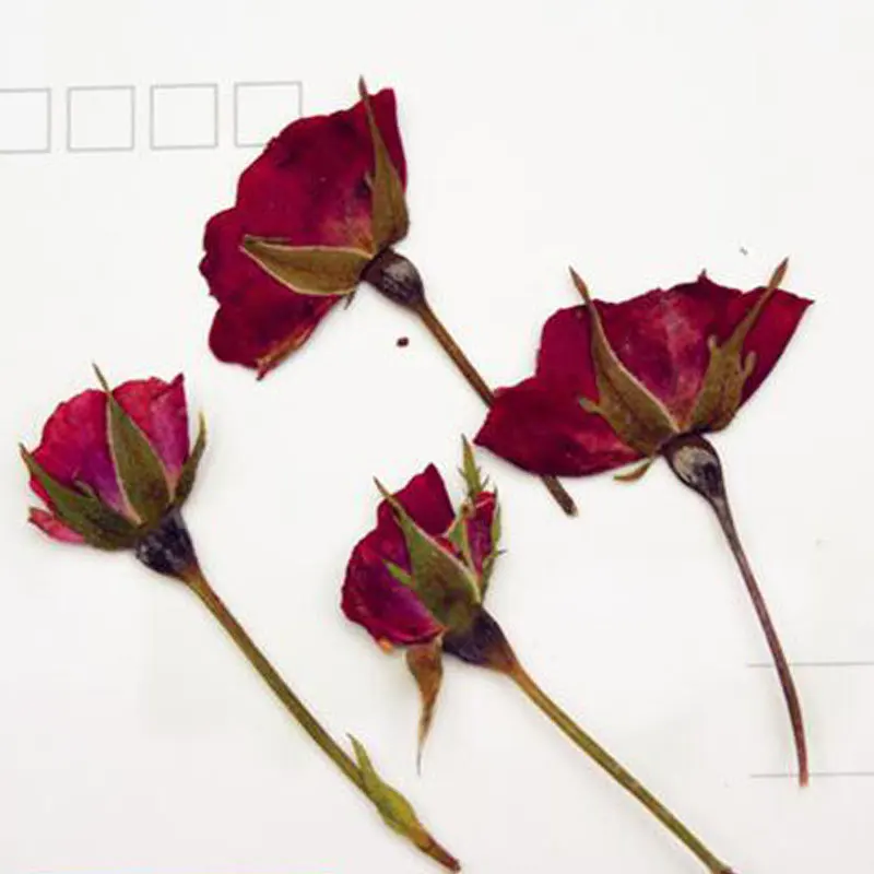 6 шт. искусственные сухие растения для ароматерапии свеча подвеска из эпоксидной