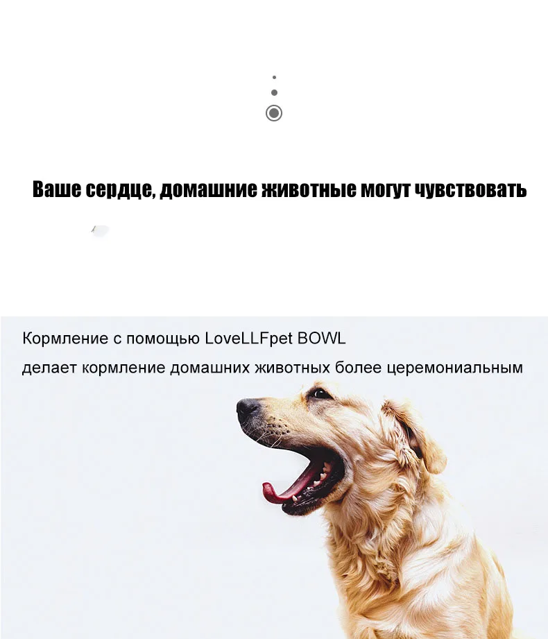 Кормушка-миска для домашних питомцев собачья миска кошачья пищевая чаша для воды фонтан Двойная чаша Питьевая приподнятая подставка кормушка с домашними животными