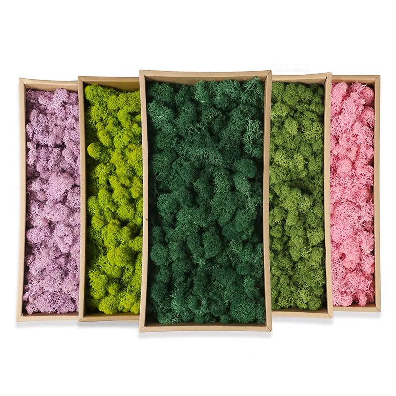 

Green Natural Preserved Moss Lasting Preserved Home Garden Wedding Decoration Supplies Moss Flower Real Plant Wall Decor