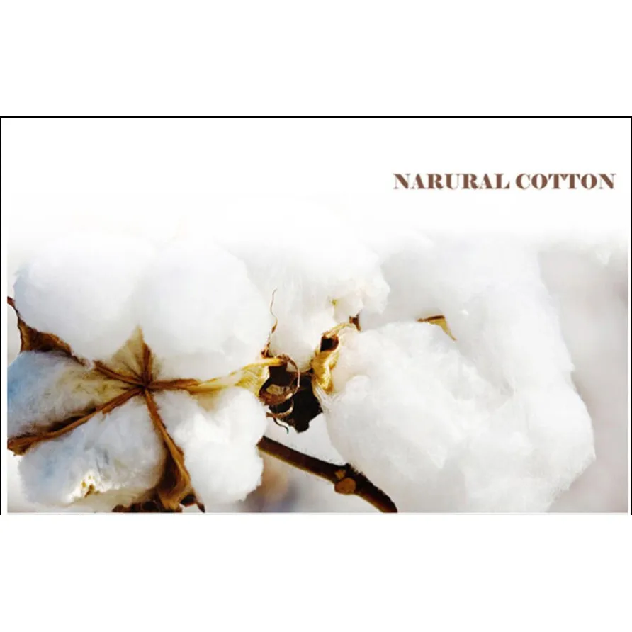 

Wolf Detail T-shirt White or Grey Short Sleeve Loose Crew Neck T-shirt Casual Sportswear Cool Men's T-shirt