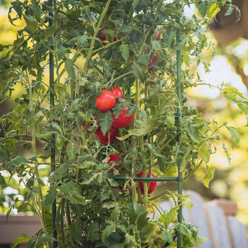 

12pcs Garden Stakes Arms for Tomato Cage 10-14 Inches Expandable Potted Frame Connectors Climbing Plant Vegetables