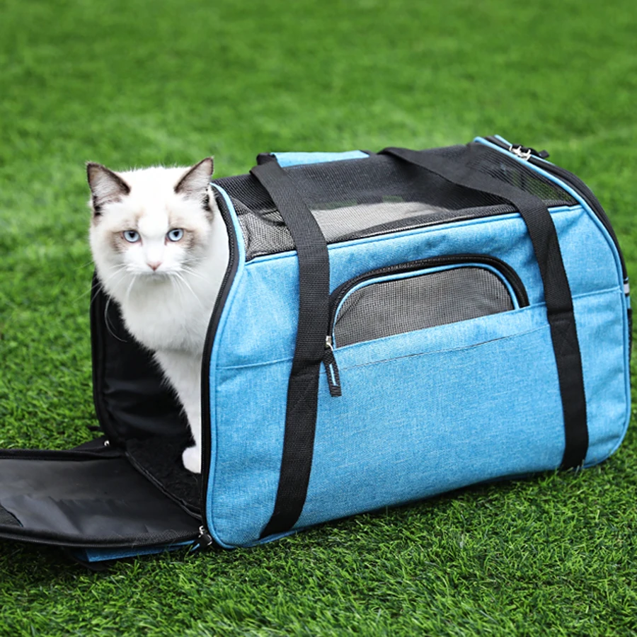 Женская сумка с кошкой для школы и путешествий школьный прозрачный рюкзак