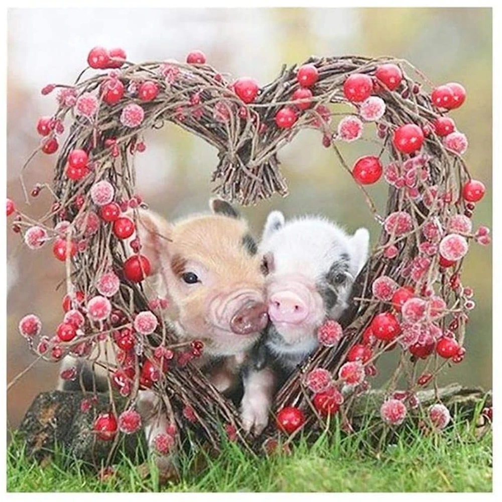 Набор для вышивки крестиком сделай сам вышивания с животными свиньями 11 карат