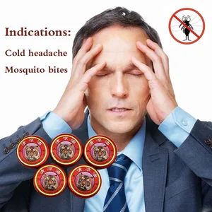 10 шт.лот, охлаждающее летнее масло, тигровый бальзам для мозга, избавление от комаров, устранение неприятного запаха, лечение головной боли, китайская медицина Бога