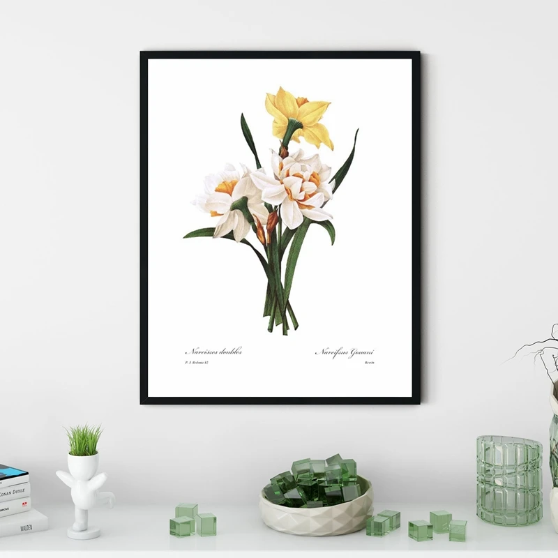 Ботанический постер Daffodil Весенняя настенная декоративная картина для кухни и