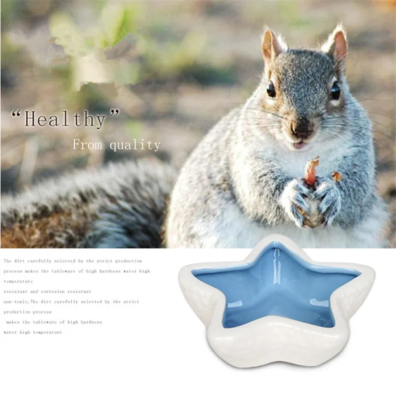 Керамические миски для кормления хомяка еж кошка морская свинка и голландская