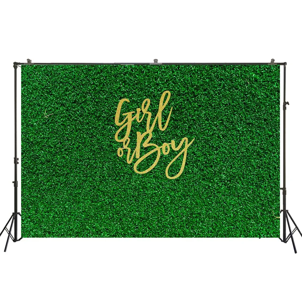 

Мальчик или девочка Пол выявить с золотым блеском формулировка праздника вечерние зеленый и золотой фон для фотосъемки с изображением великолепных Плакаты