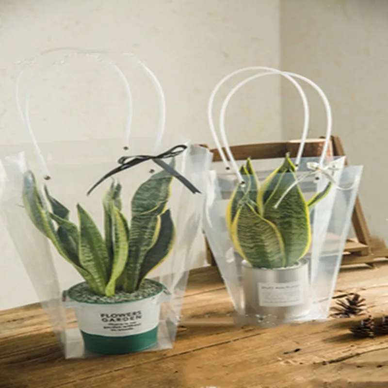 2019 новая распродажа Подарочная сумка для растений Прозрачная ПВХ сумка-тоут с