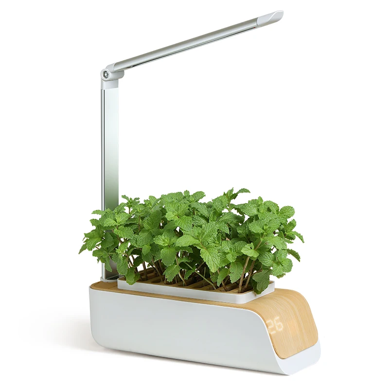 

Indoor smart flowerpot with light hydroponic mini garden indoor hydroponics system at home for indoor planting