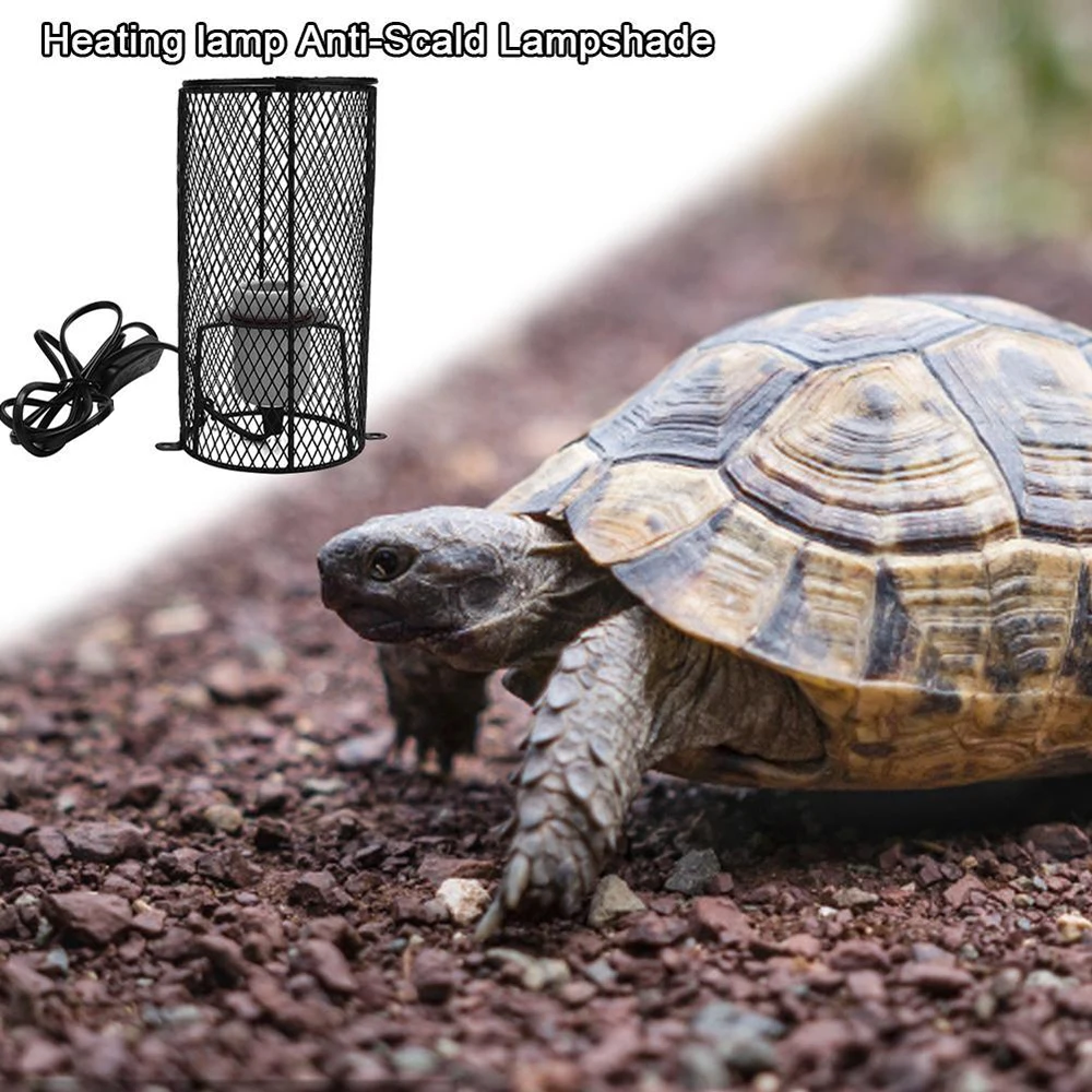 

Small Pet Heating Lamp Parrot Tortoise Heating Lamp Ceramic Lampshade With Protective Tube Reptile Bird Heating Lamp Supplies