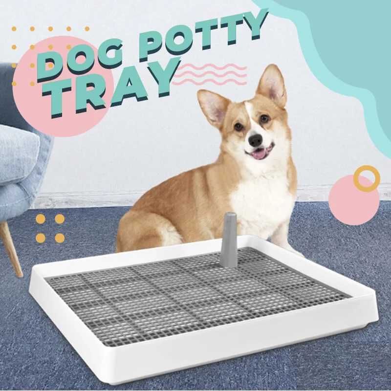 

Portable Dog Training Toilet Indoor Poppy Potty Toilet for Small Dogs Cats Litter Box Puppy Pad Holder Tray Pet Supplies