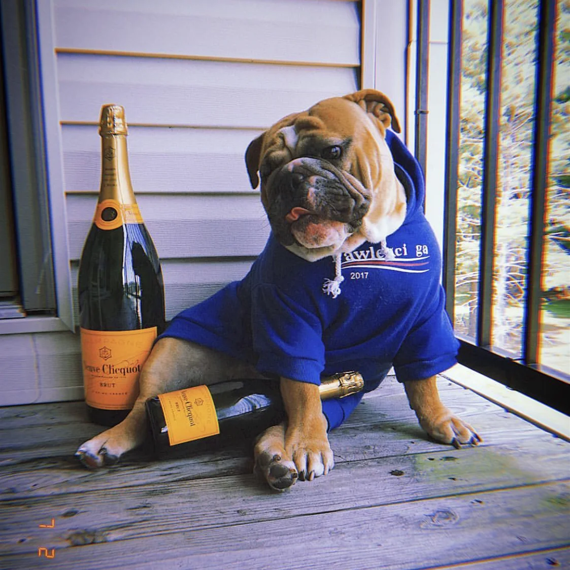 Толстовка с капюшоном для французской собаки теплая спортивная ретро-одежда