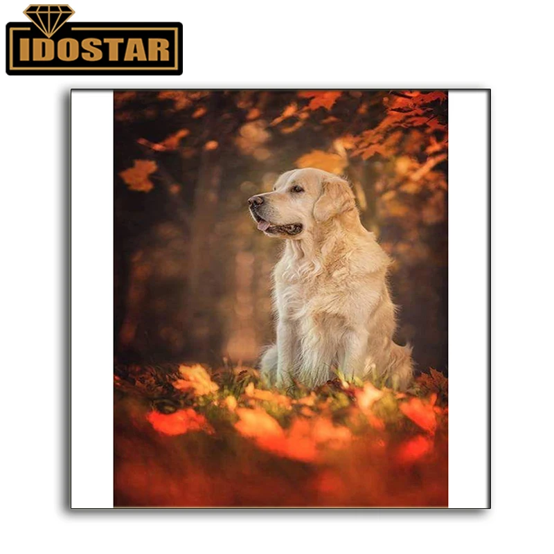 5D алмазная живопись сделай сам вышивка крестиком с собакой Золотистый ретривер