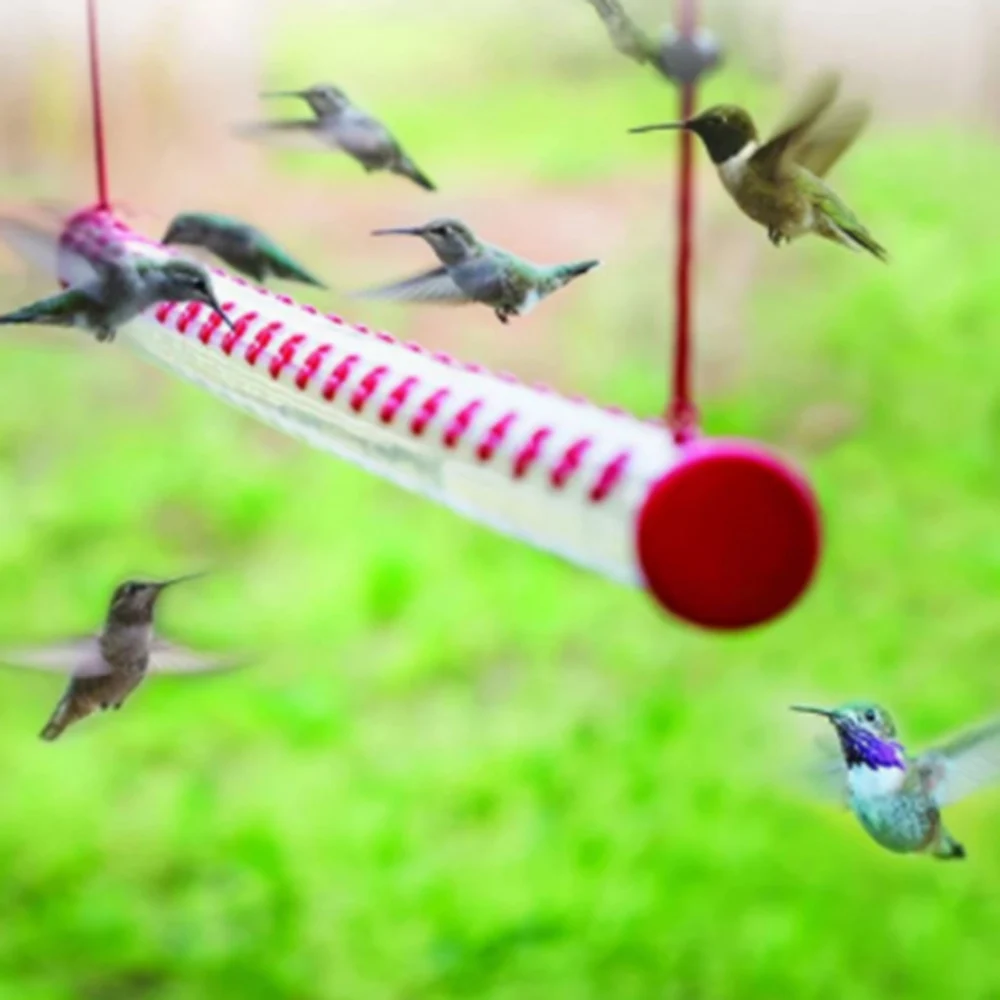 

Bird Feeder With Hole Feeding Pipes Hanging Easy To Use Bird Feeder Best Convenient Gardening Tools The Bird Keeper's Assistant