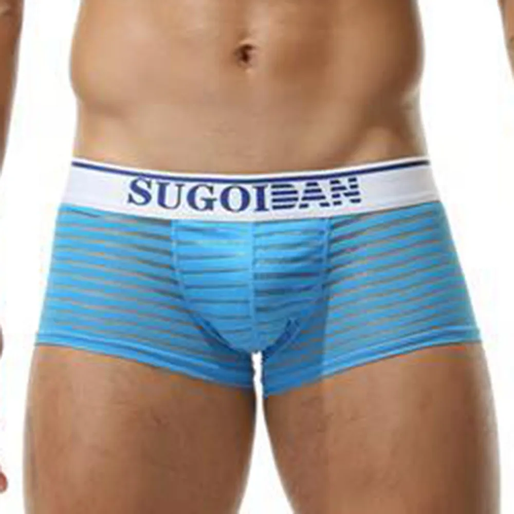 

Striped Men Sexy See-through Boxer Briefs Sheer Mesh U Convex Pouch Underwear Panties Lingerie Swim Trunks Gays Panties Briefs