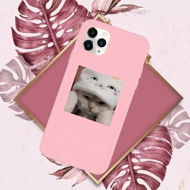 

Cute Cats New Year Gifts Phone Case Pink Candy Color for iPhone 11 12 mini pro XS MAX 8 7 6 6S Plus X SE 2020 XR