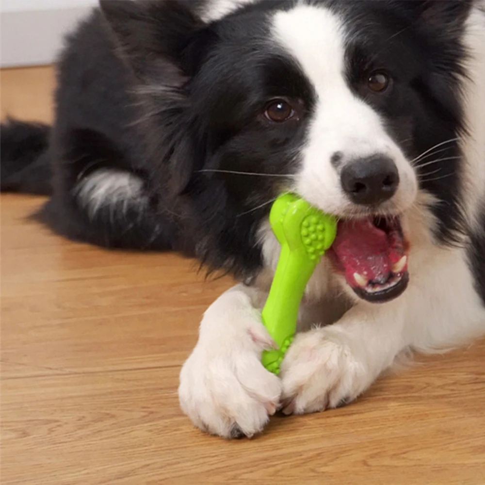 

LeChong игрушки для домашних питомцев, кости, жевательная игрушка, палочка для домашних животных, игрушка для удаления зубов у собак, товары для...