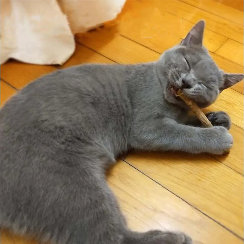 2/5 шт. зубная паста для кошек|Игрушки кошек| |