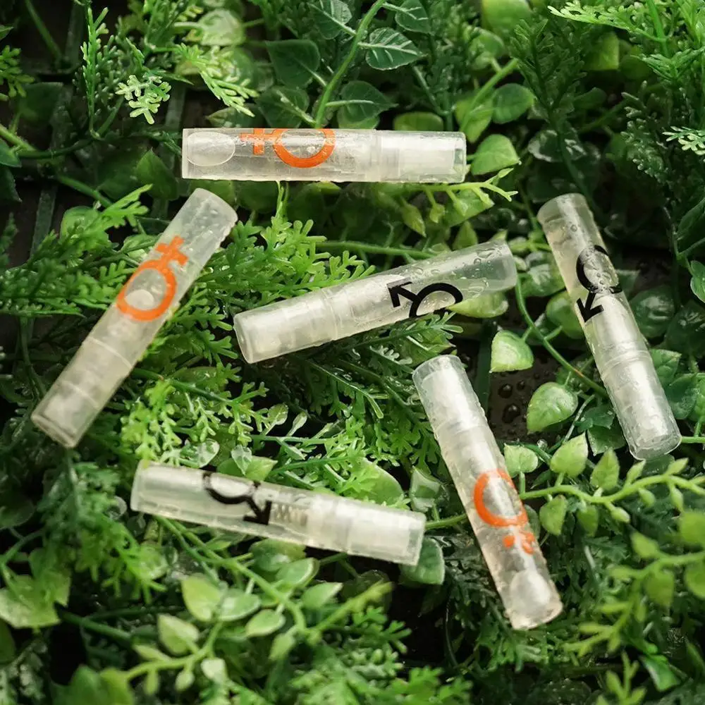 Парфюм феромона 3 мл афродизиак женский оргазм спрей для тела парфюм девушек