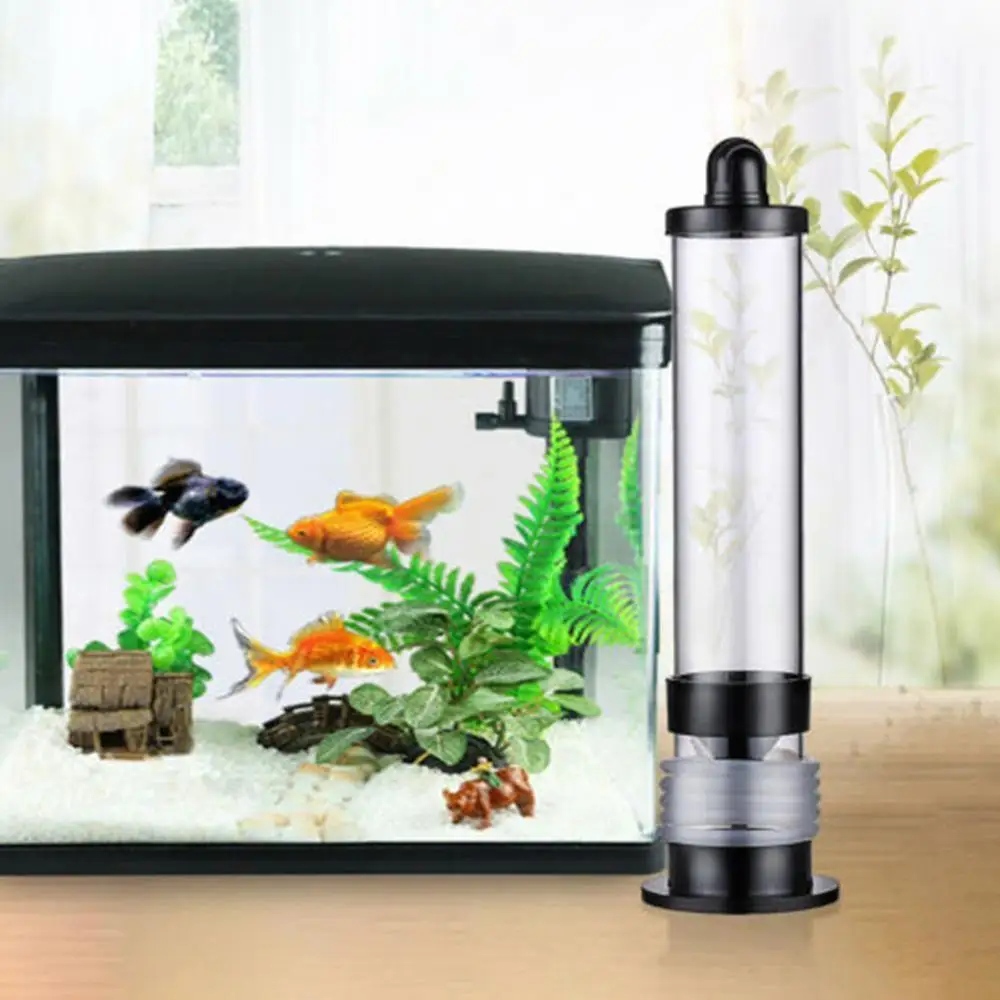 Инкубатор для аквариума рассола креветки инкубатор инкубатора яиц артемии | Дом