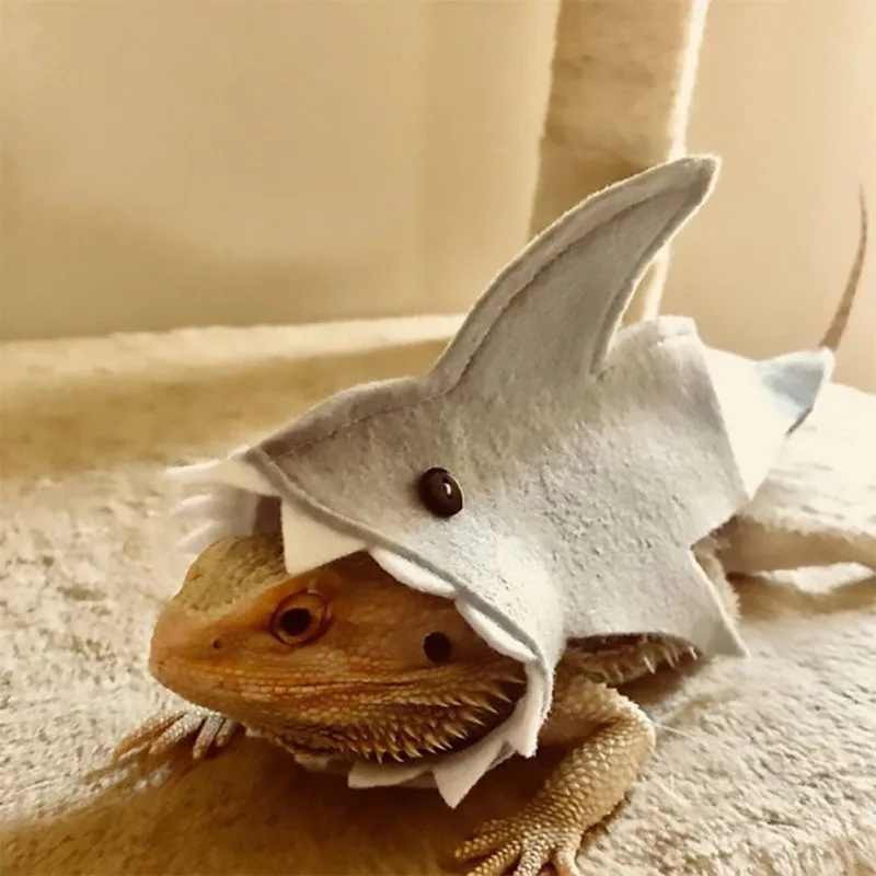 

Pet Accessories Lizard Shark Suit Halloween Blanket Lizard Costume Small Pet Costume Coat Dropship