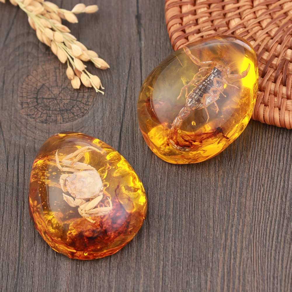 1 шт. модные натуральные насекомые янтарный цвет оригинальные скорпионы Бабочка