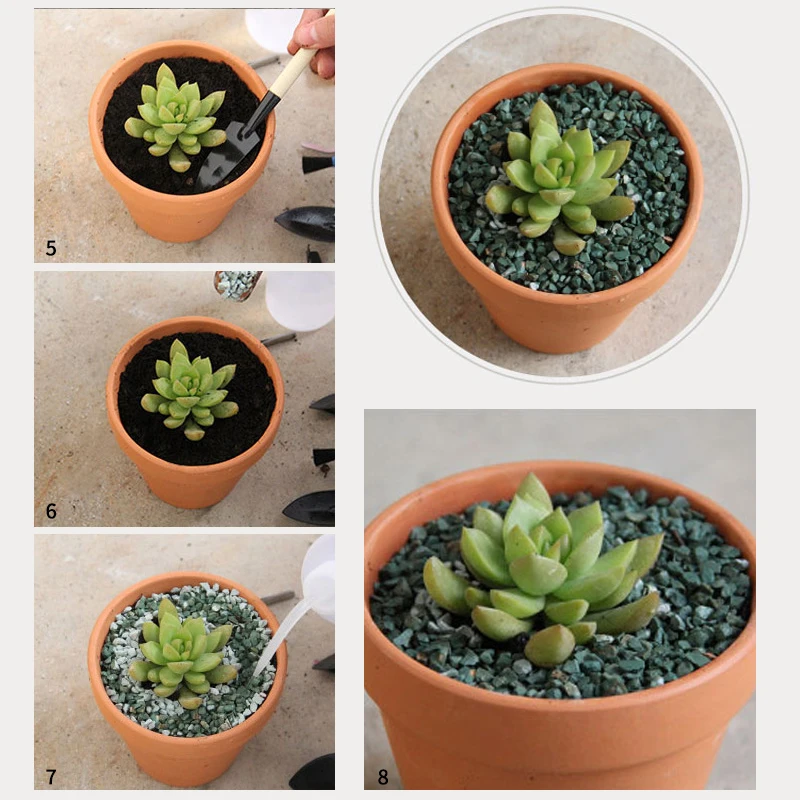 1 шт. маленькие Мини глиняные горшки керамические для цветов кактуса | Дом и сад