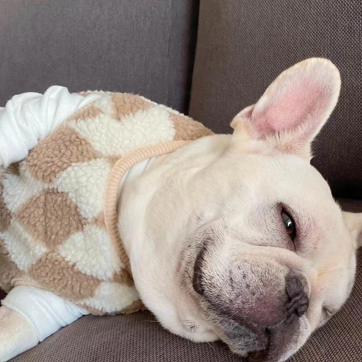 Зимнее пальто для домашних питомцев наряд щенков жилет одежда Йорка