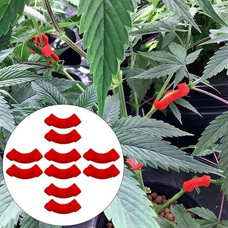 

10PCS Bend The Plant Clips 90 Degree Plant Bender For Low Stress Training And Red Plants Training Curved Plant Holder 2021