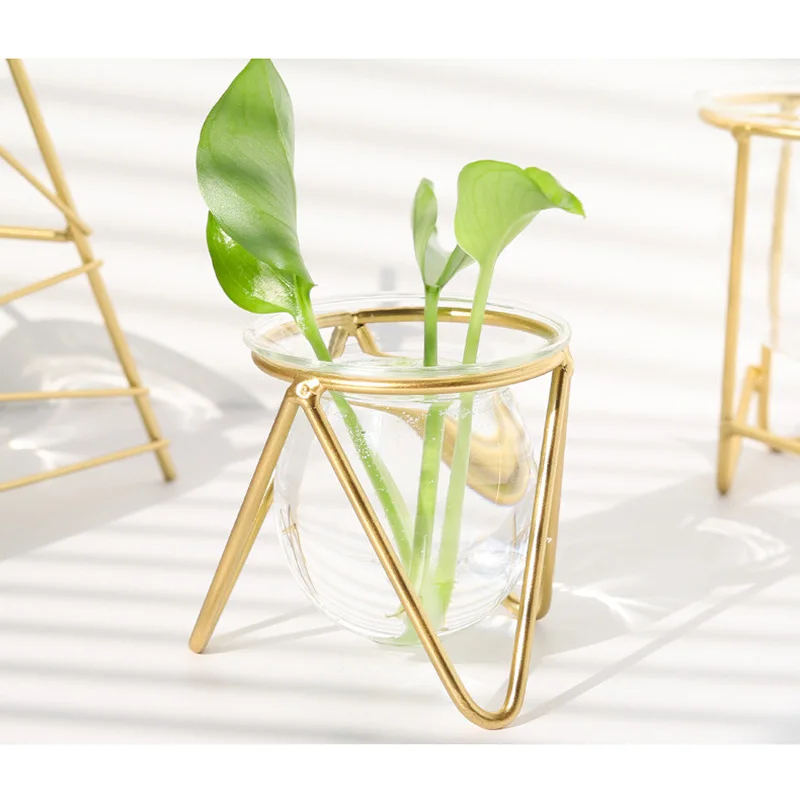 Бытовая ваза для гидропонных растений железная систем стеклянная настольное