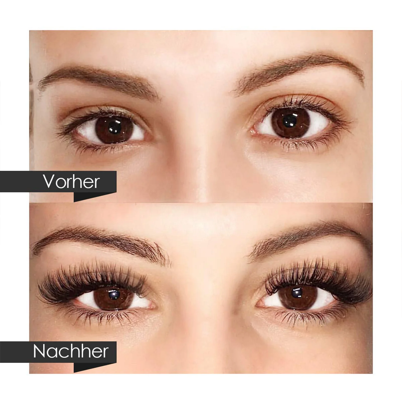 

Novice Eyelash Extension Set Professional Training Tool Kit