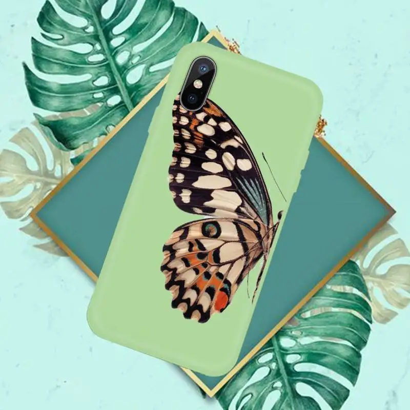 

Cute Butterfly Phone Case Candy Color for iPhone 11 12 mini pro XS MAX 8 7 6 6S Plus X SE 2020 XR