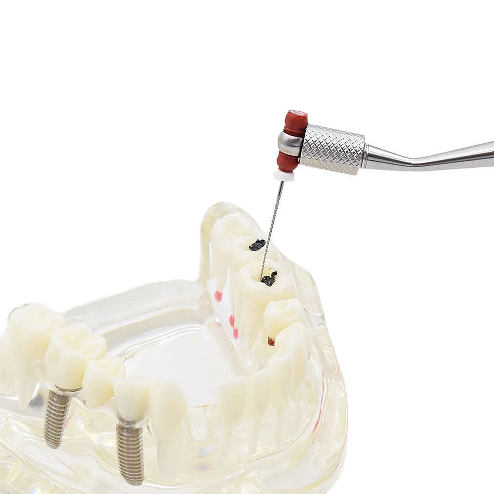 

Dental Basic Instrument Hand Use Endodontic Files Holder Root Canal Files Holder