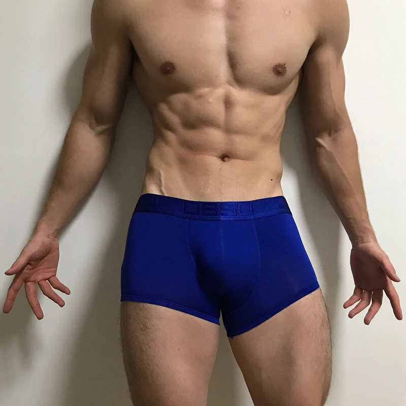 ORLVS брендовые боксеры Для мужчин сетка u образный мешочек сексуальное нижнее