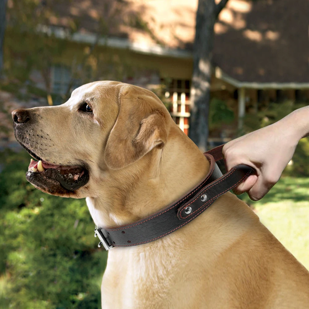 Ошейник для собак из натуральной кожи ошейник дрессировки питомцев больших и