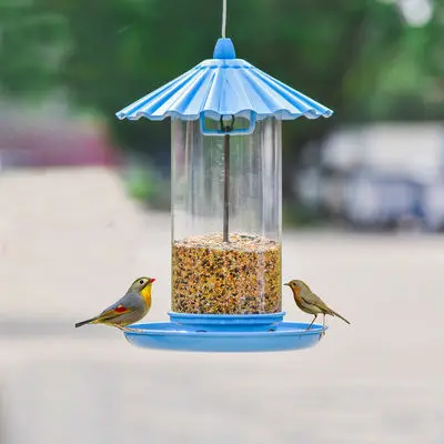 

Outdoor bird feeder, garden decoration, villa, balcony bird feeder, automatic bird feeding trough